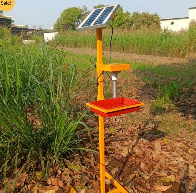 Solar Insect Trap